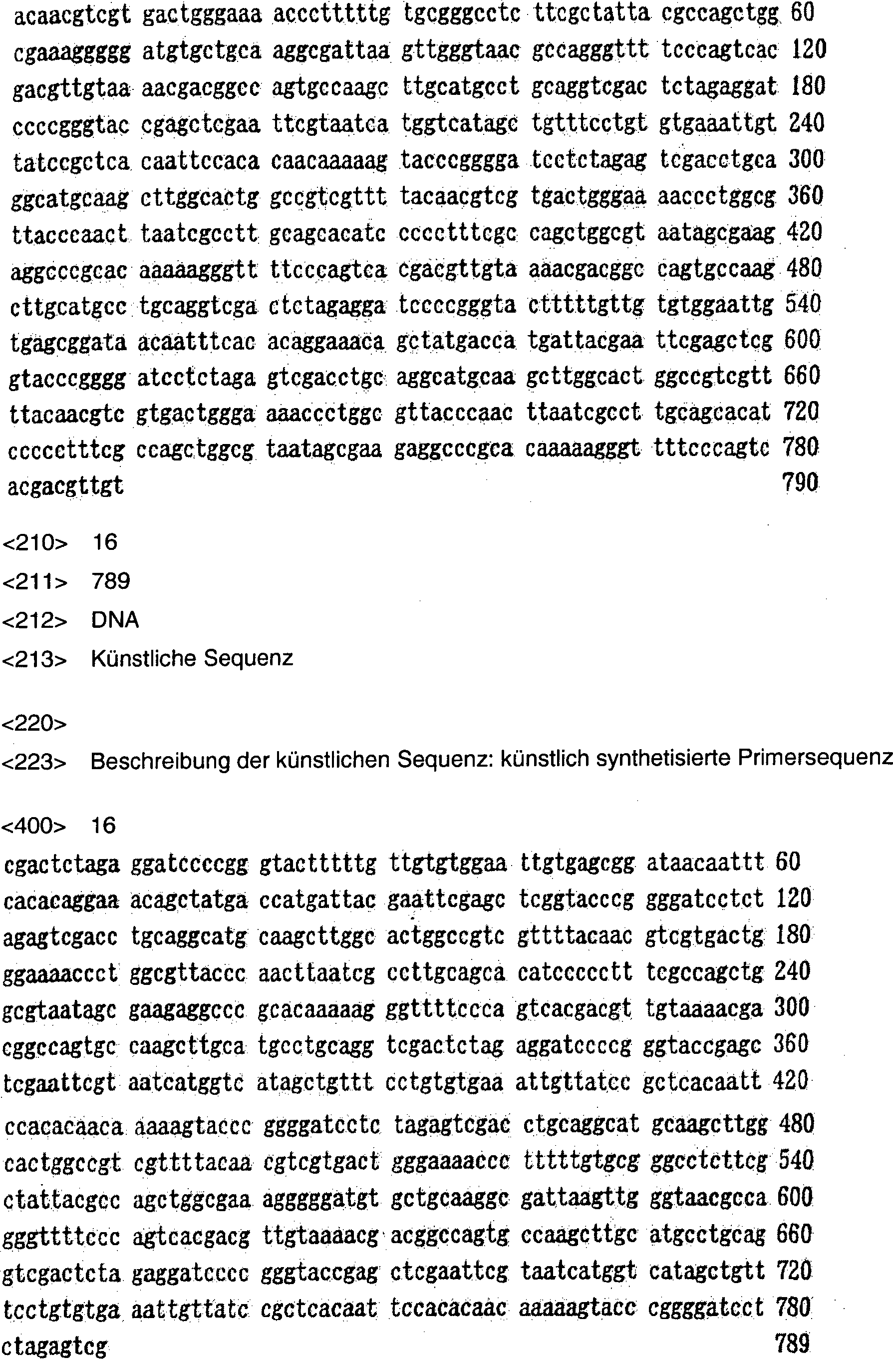 De69937223t3 Process For Synthesis Of Nucleic Acids Google Patents