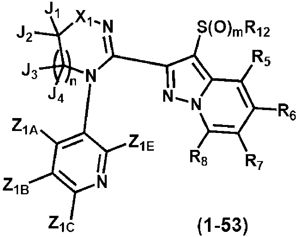Figure imgb0155