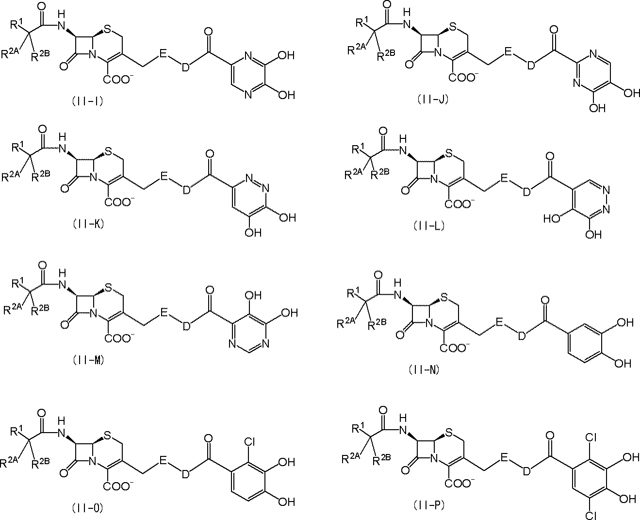 Figure JPOXMLDOC01-appb-C000098