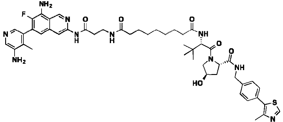 Figure imgb0535