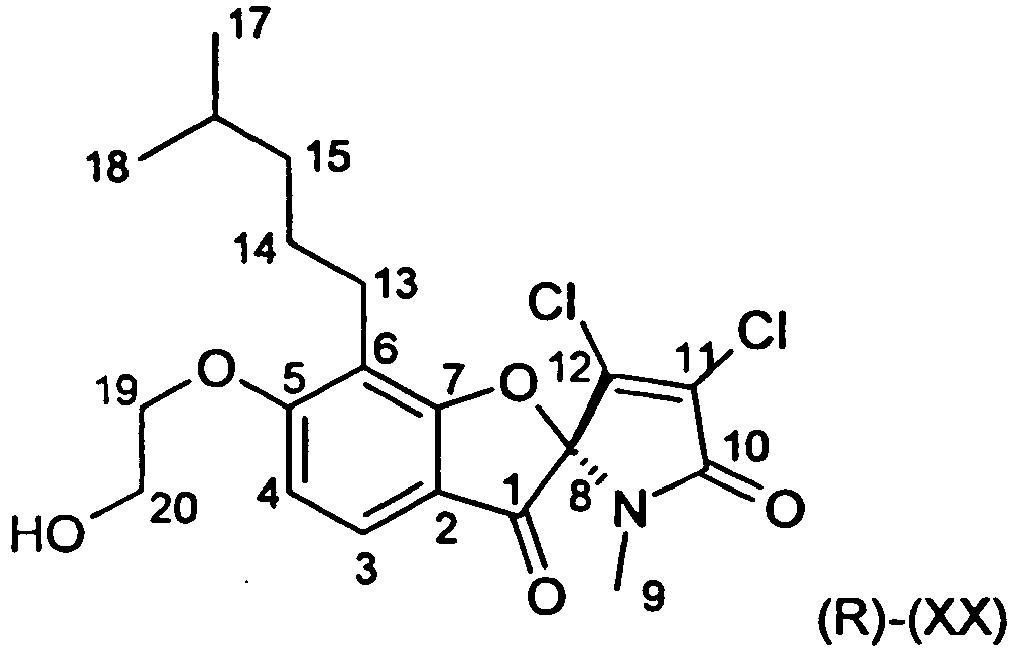 Figure imgb0013