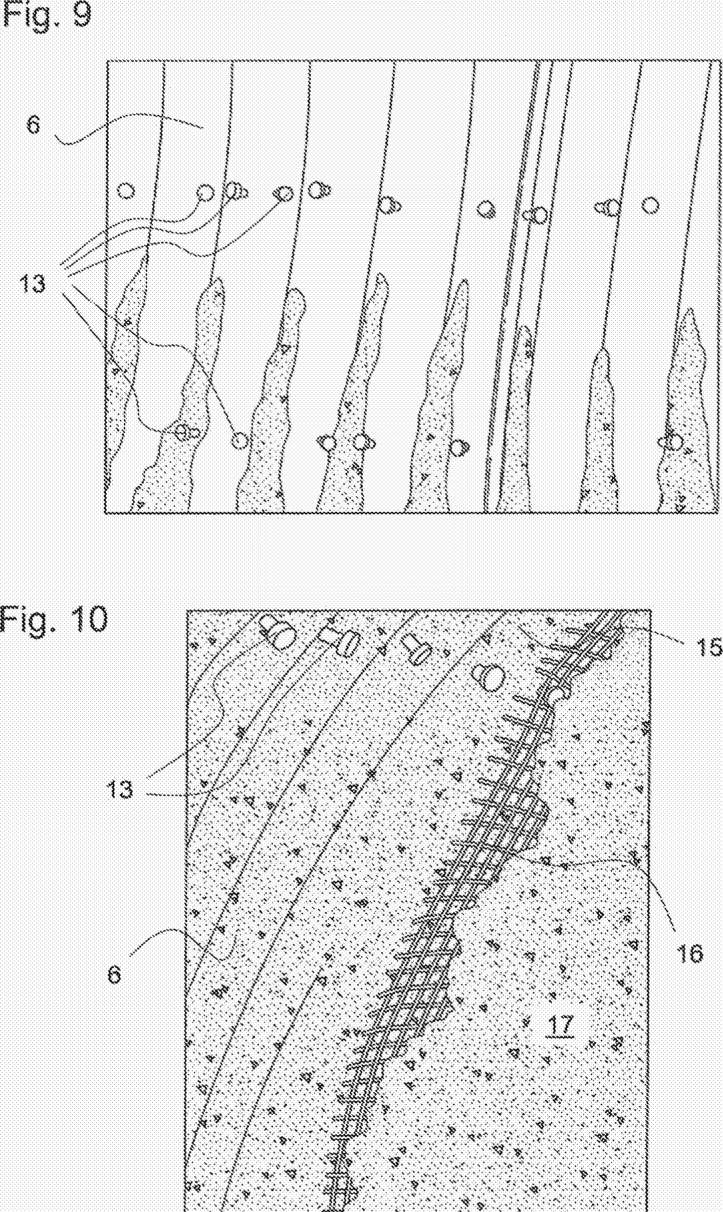 Figure CH714877A2_C0005