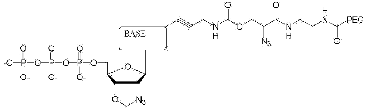 Figure imgb0010