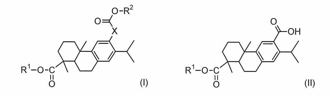Figure JPOXMLDOC01-appb-C000003
