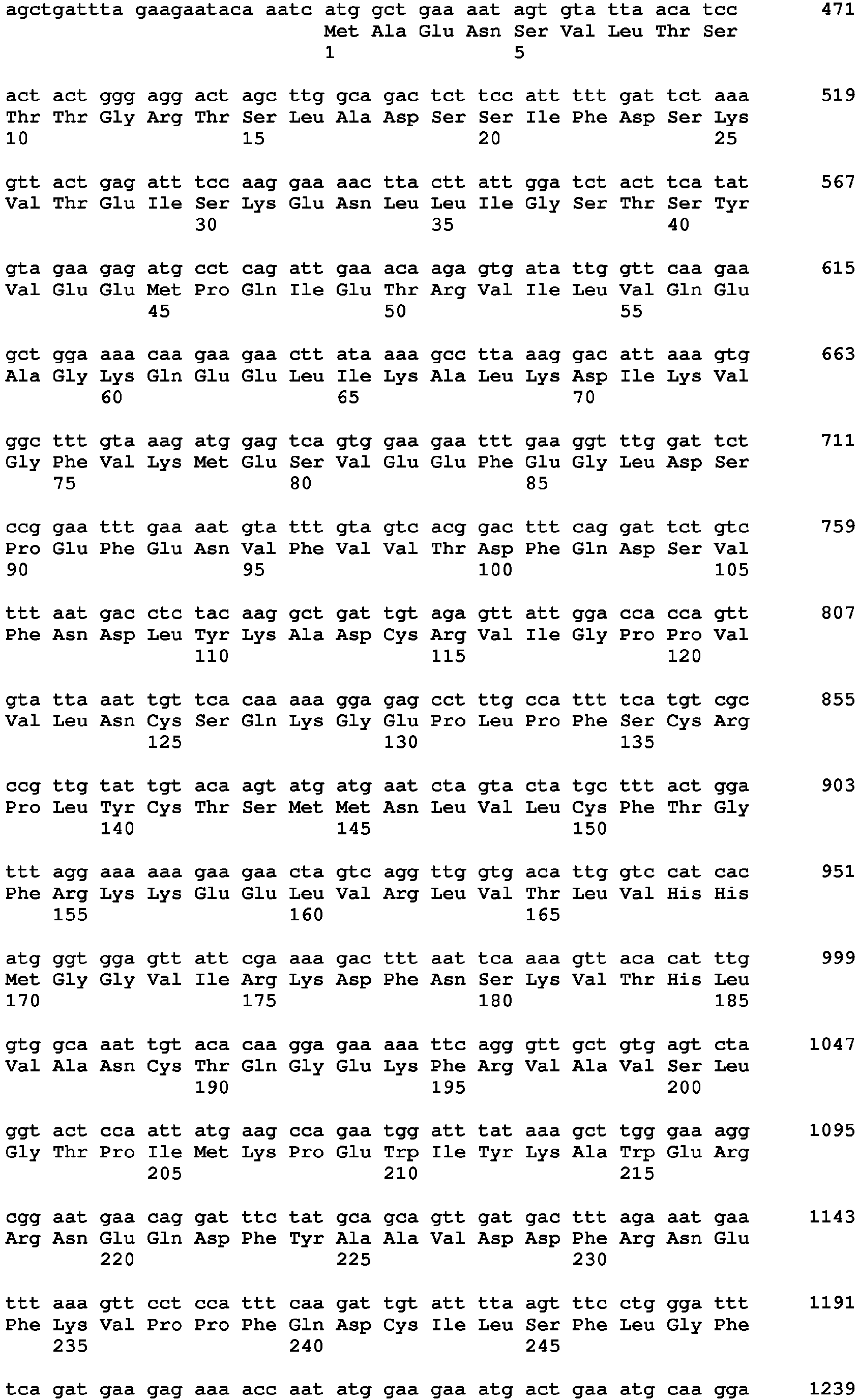 Figure imgb0019