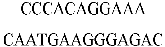 Figure imgb0104