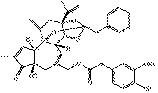 Figure 0007586819000001