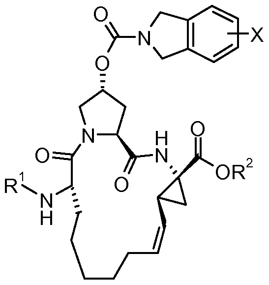 Figure imgf000004_0003