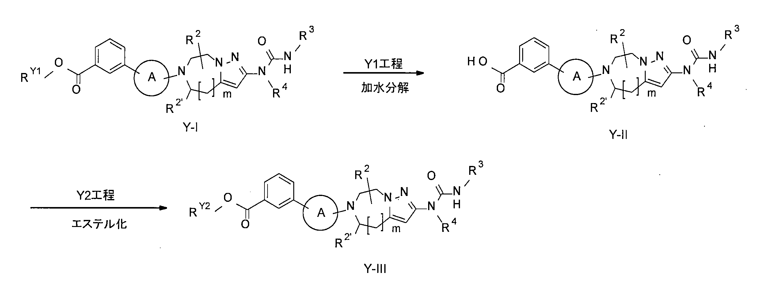 Figure JPOXMLDOC01-appb-C000052