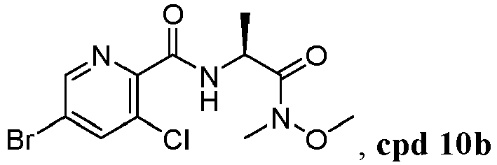 Figure imgb0117