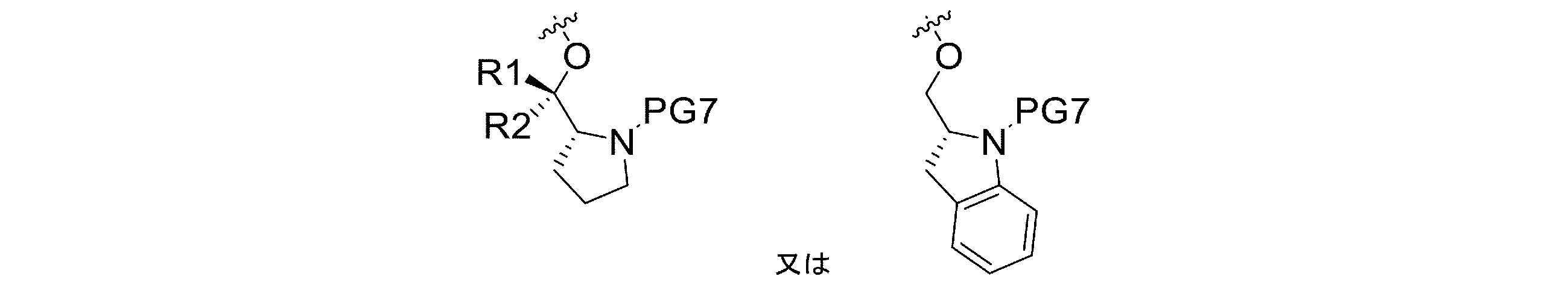 Figure JPOXMLDOC01-appb-C000065