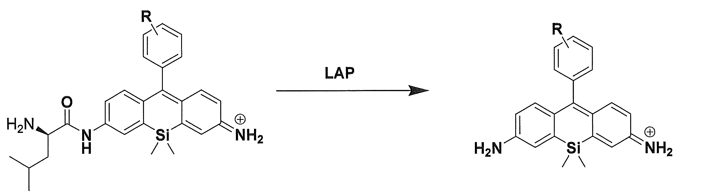 Figure JPOXMLDOC01-appb-C000019