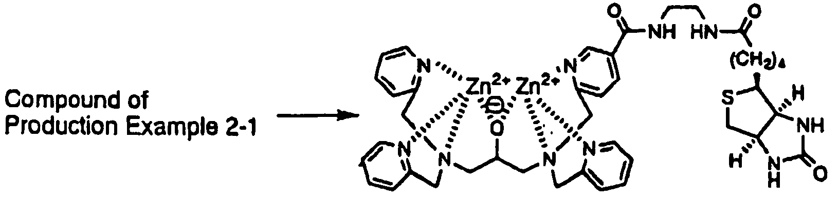 Figure imgb0019