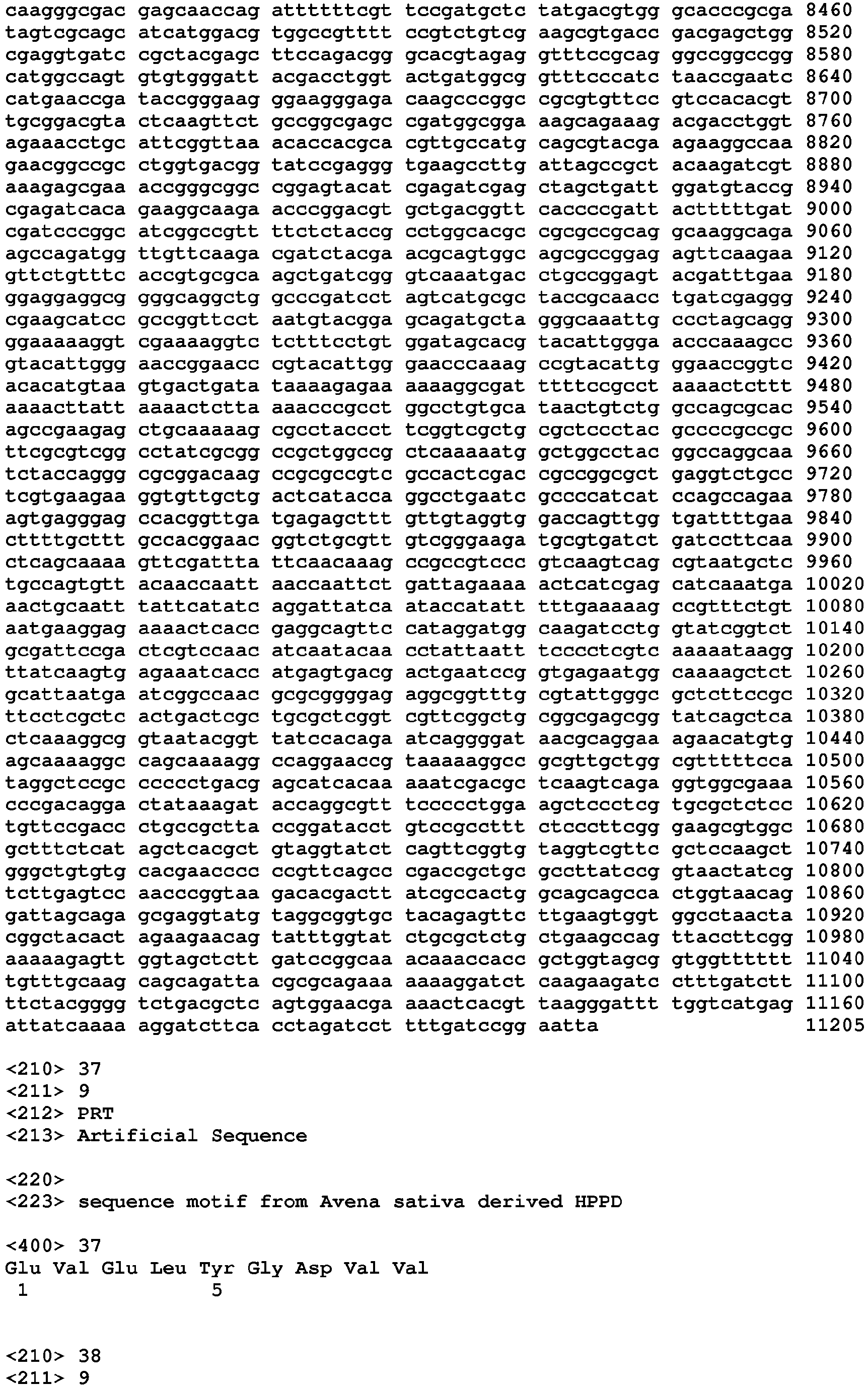 Figure imgb0089