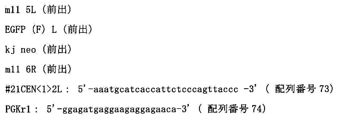 Figure JPOXMLDOC01-appb-I000096