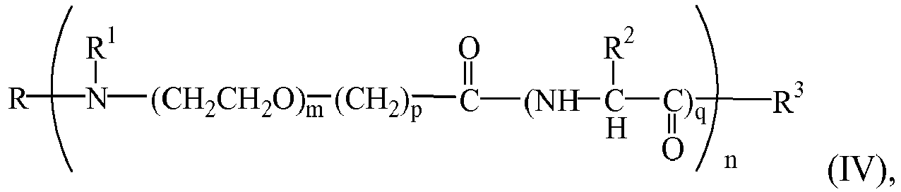 Figure imgb0004