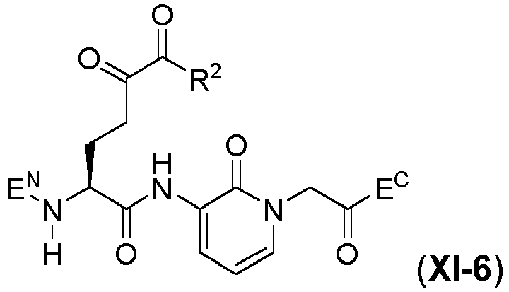 Figure imgb0301