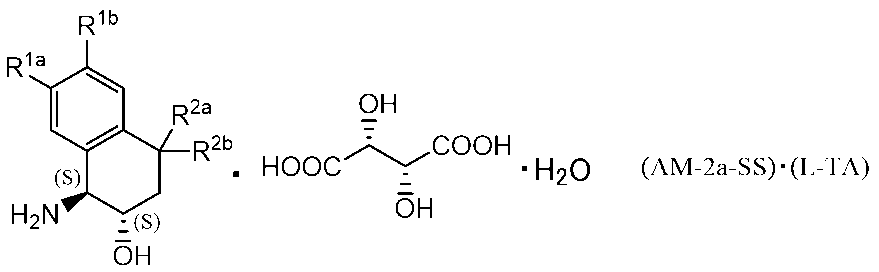 Figure JPOXMLDOC01-appb-I000030