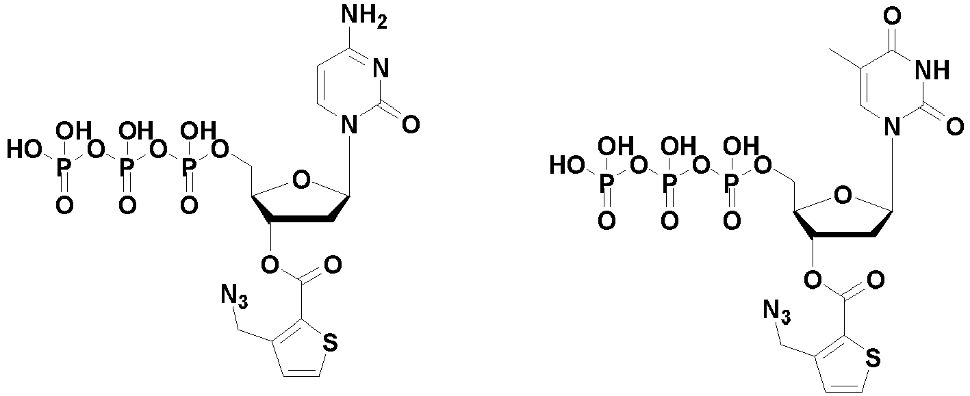 Figure imgb0601