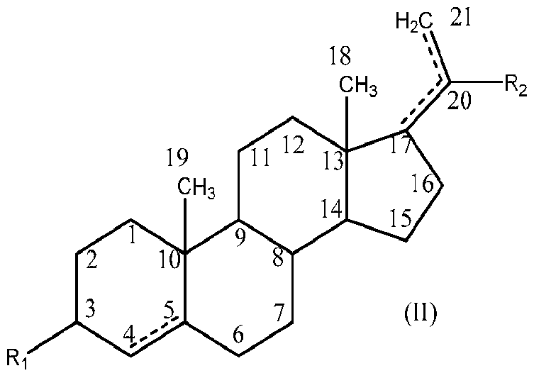 Figure imgf000005_0001