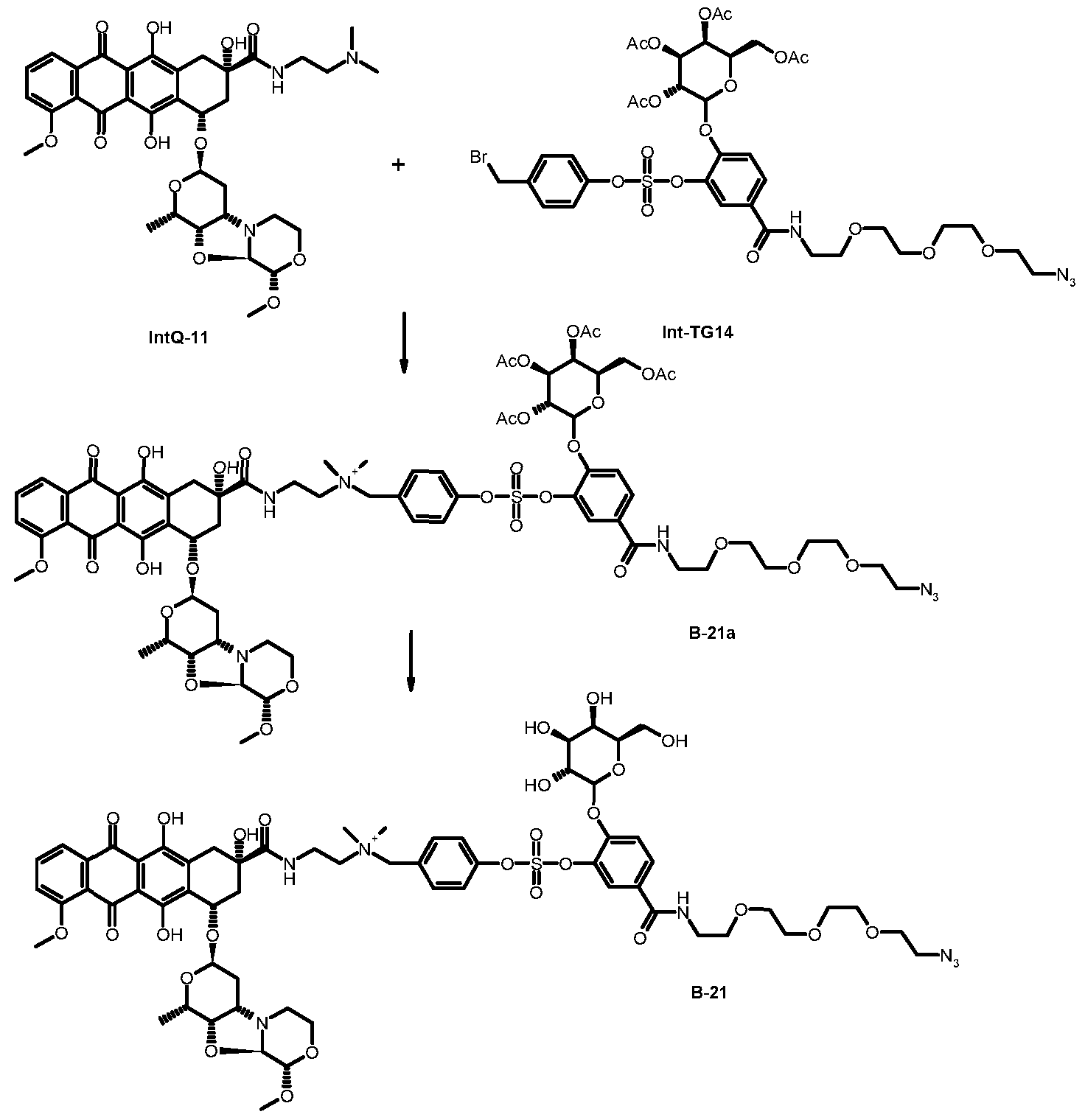 Figure imgf000239_0001