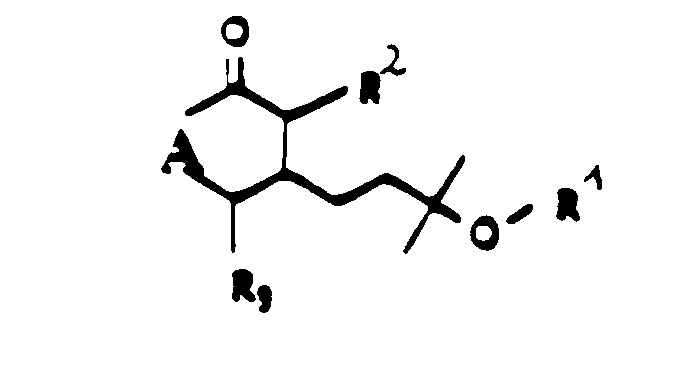 Figure imgb0024