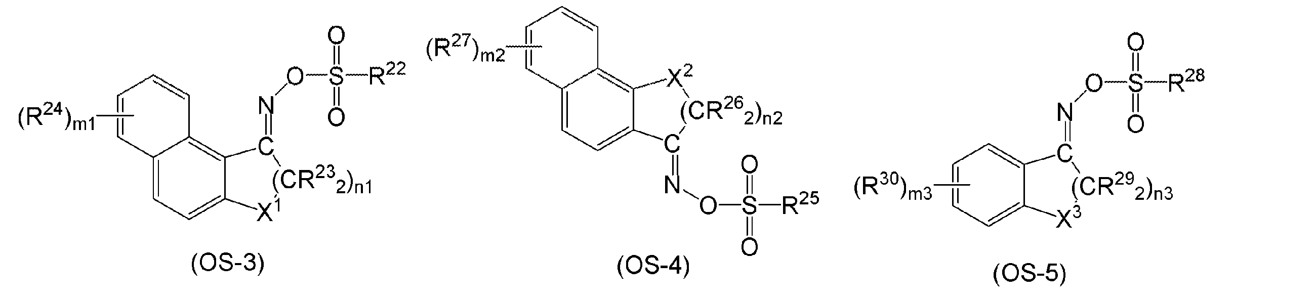 Figure JPOXMLDOC01-appb-C000024