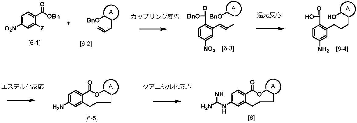 Figure JPOXMLDOC01-appb-C000017