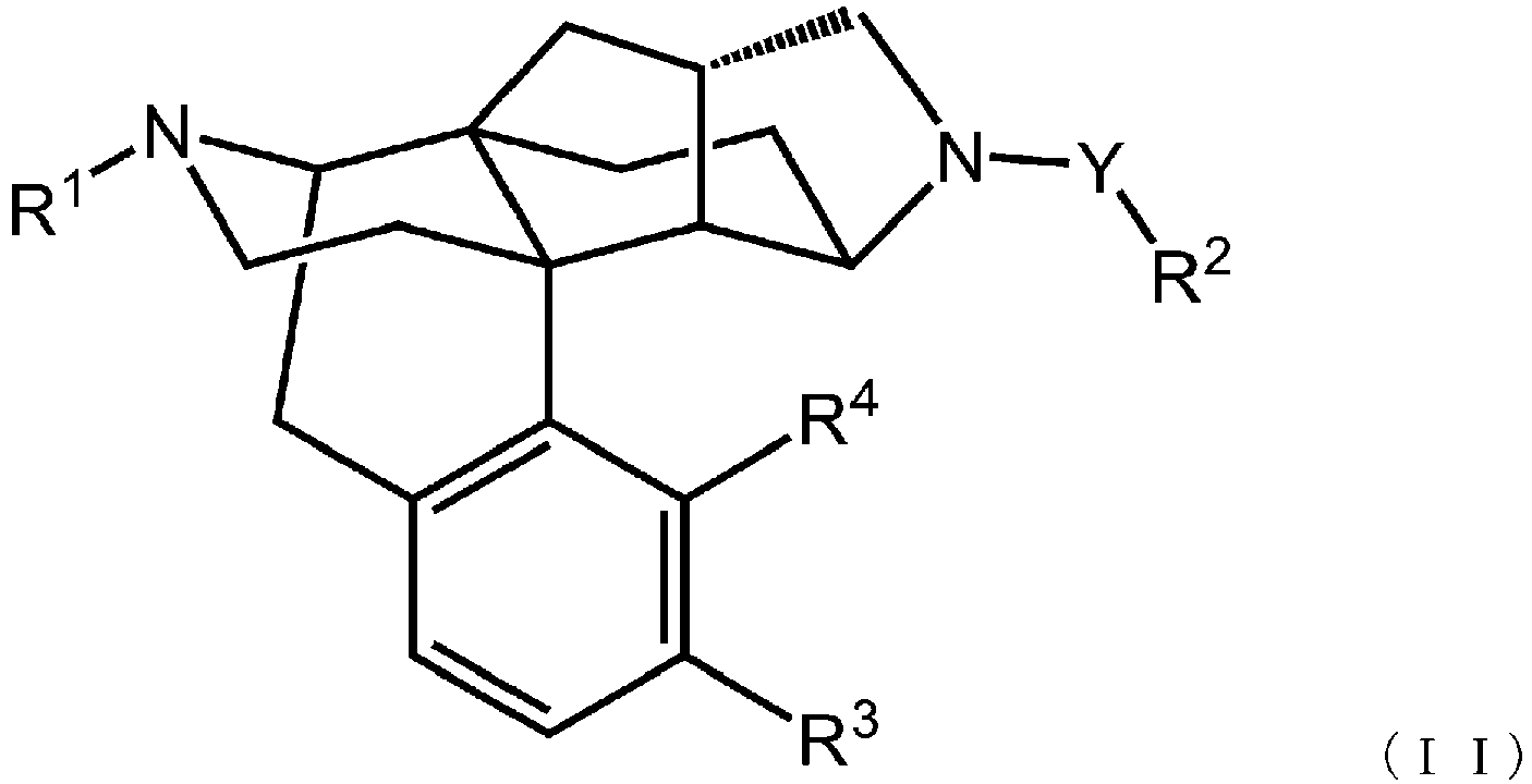 Figure imgb0011