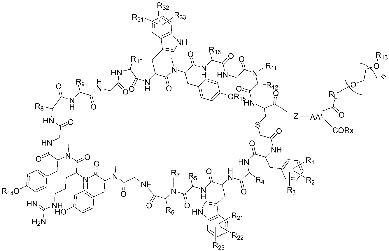 Figure JPOXMLDOC01-appb-C000025