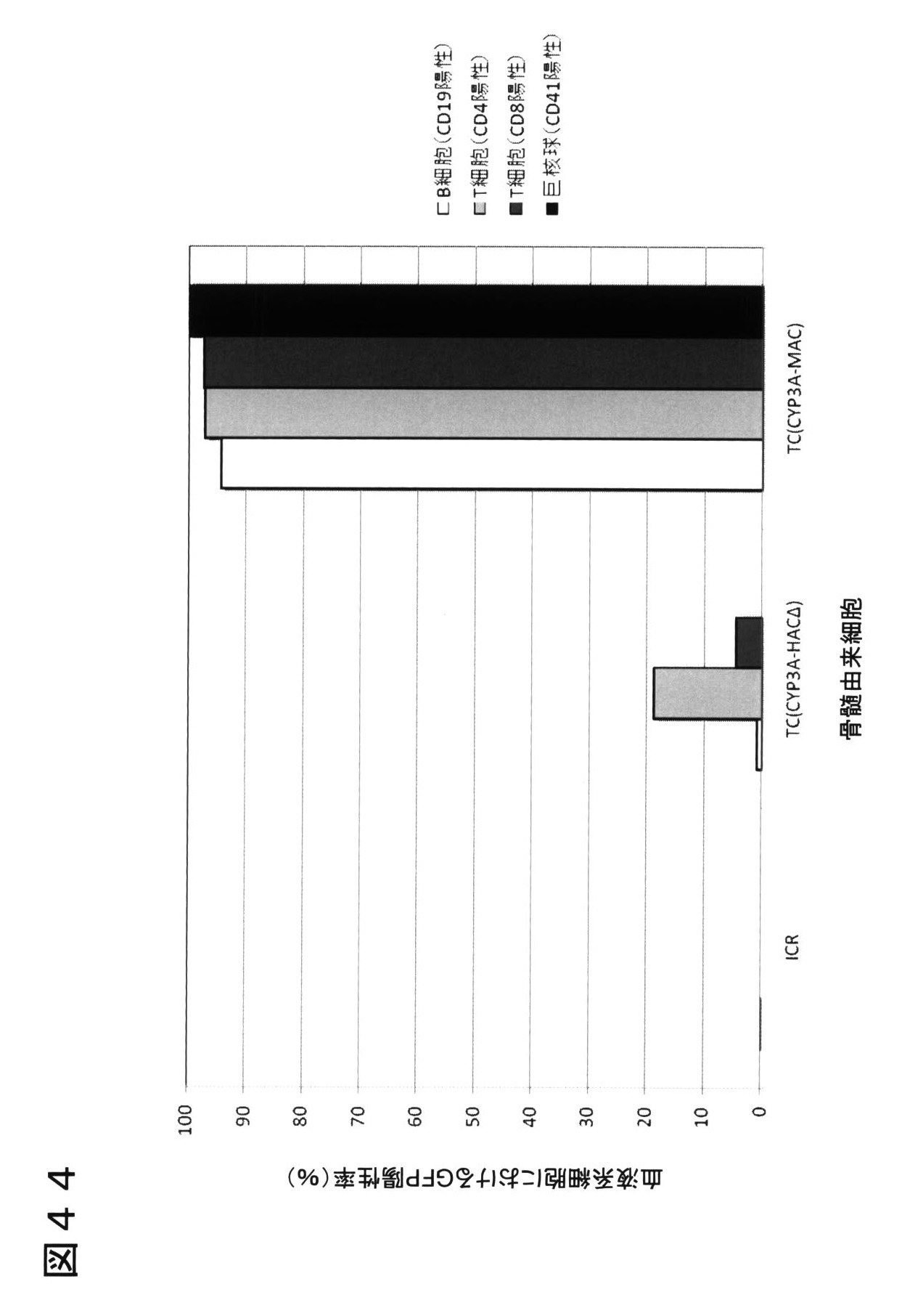 Wo2011083870a1 マウス人工染色体ベクター Google Patents