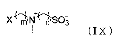 Figure JPOXMLDOC01-appb-C000021