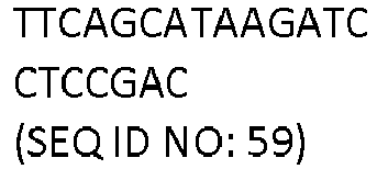 Figure imgb0244