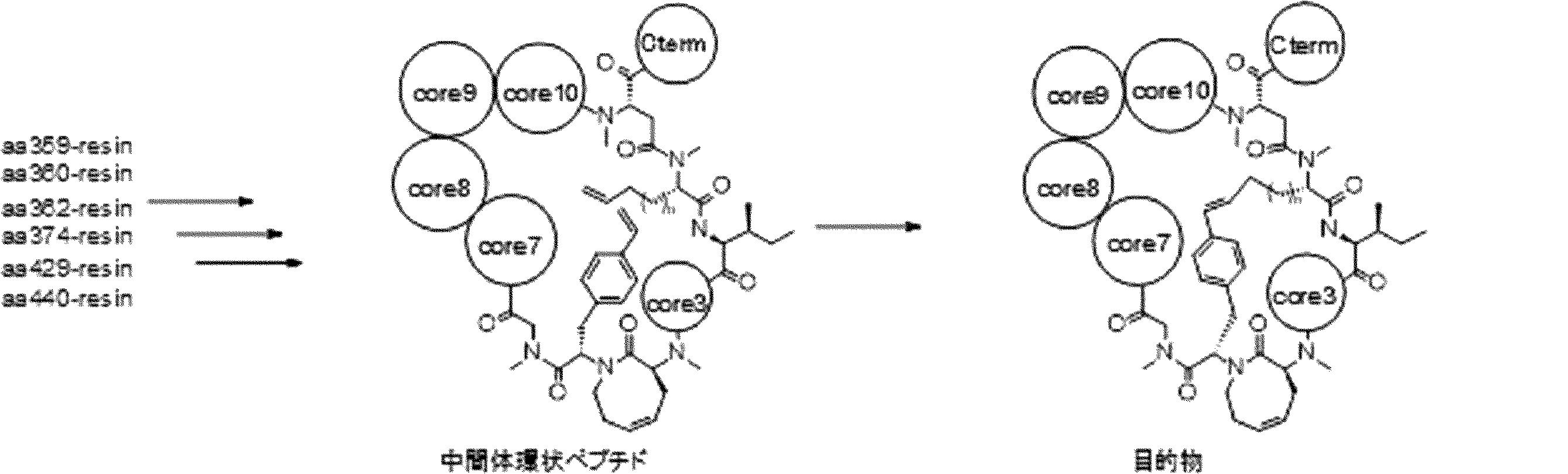Figure JPOXMLDOC01-appb-I000418
