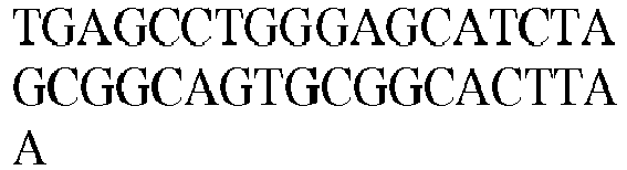 Figure imgb0549