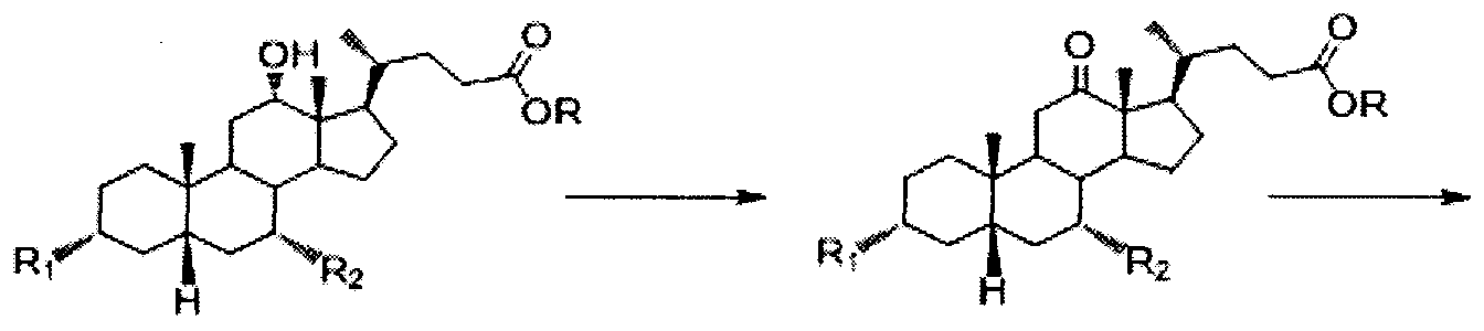 Figure imgf000011_0001