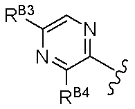 Figure JPOXMLDOC01-appb-C000018