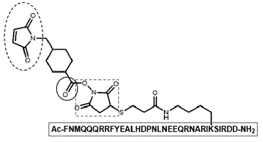 Figure imgb0161