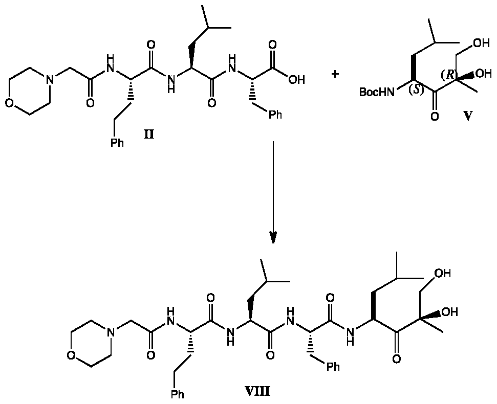 Figure imgf000006_0002