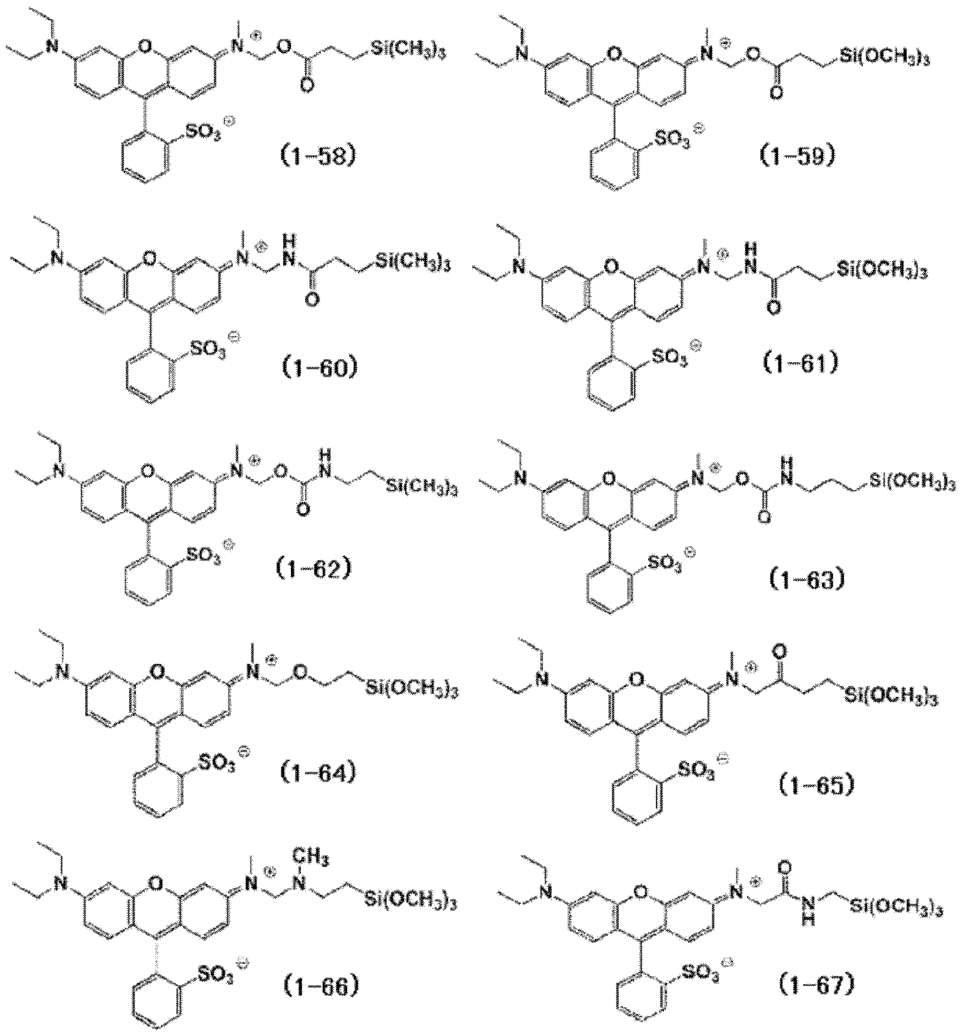 Figure JPOXMLDOC01-appb-C000024