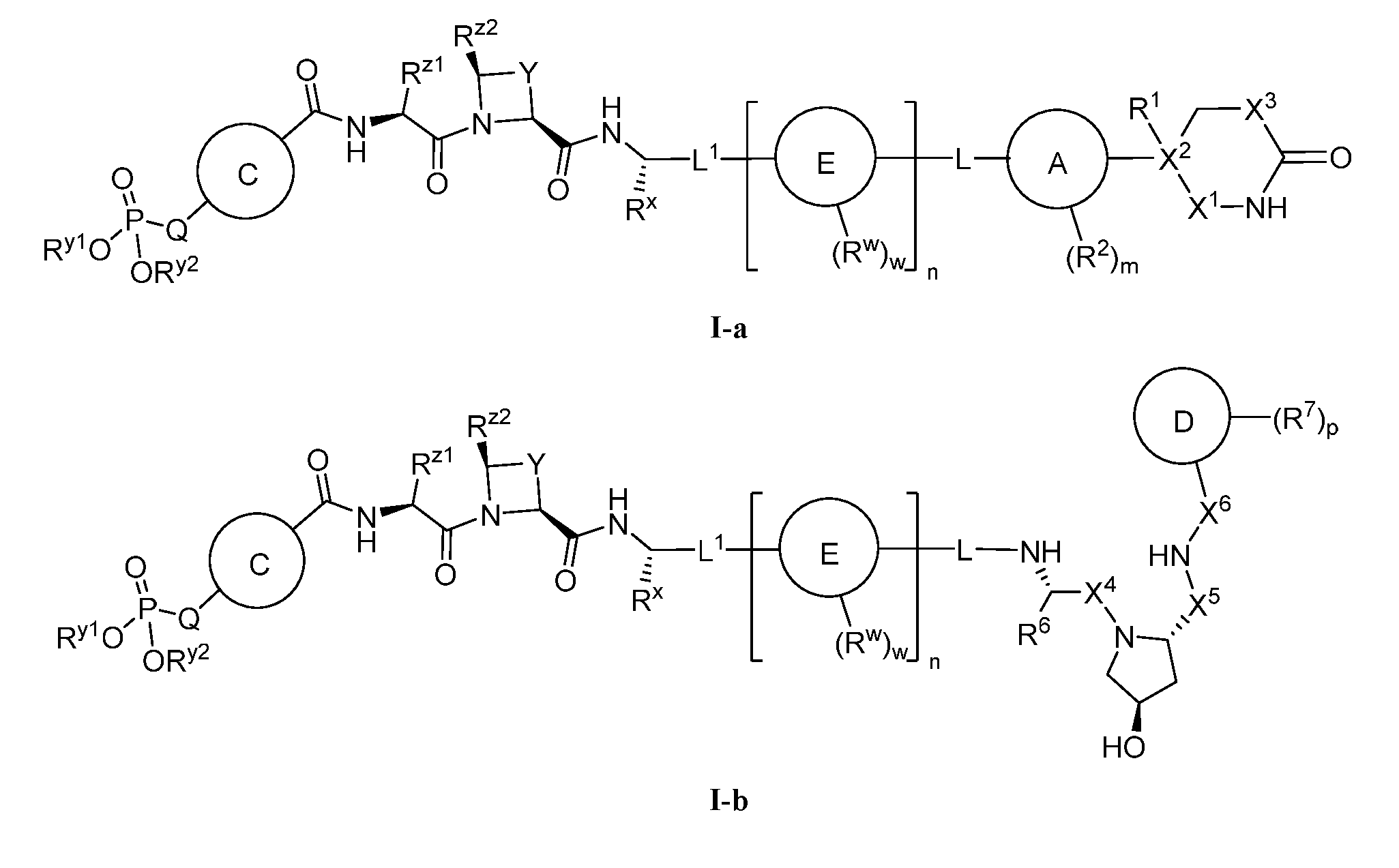 Figure imgf000004_0002