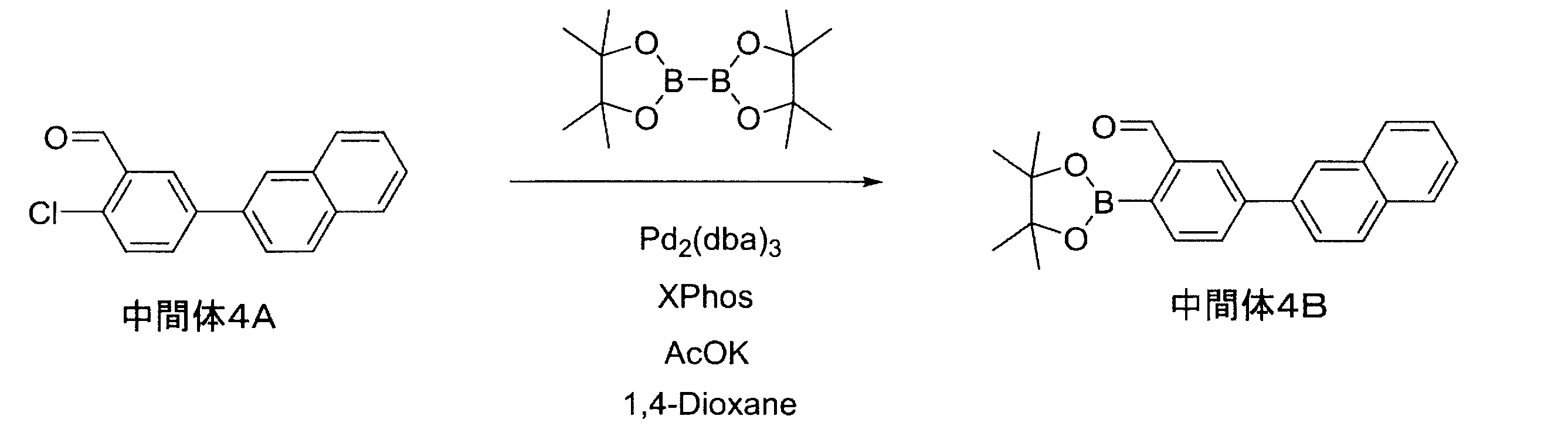 Figure JPOXMLDOC01-appb-C000226