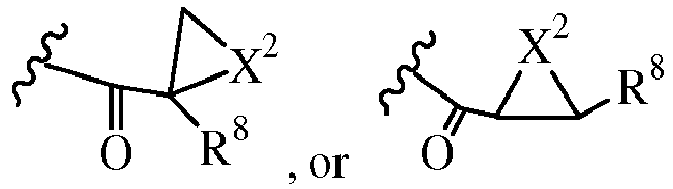 Figure imgb0010