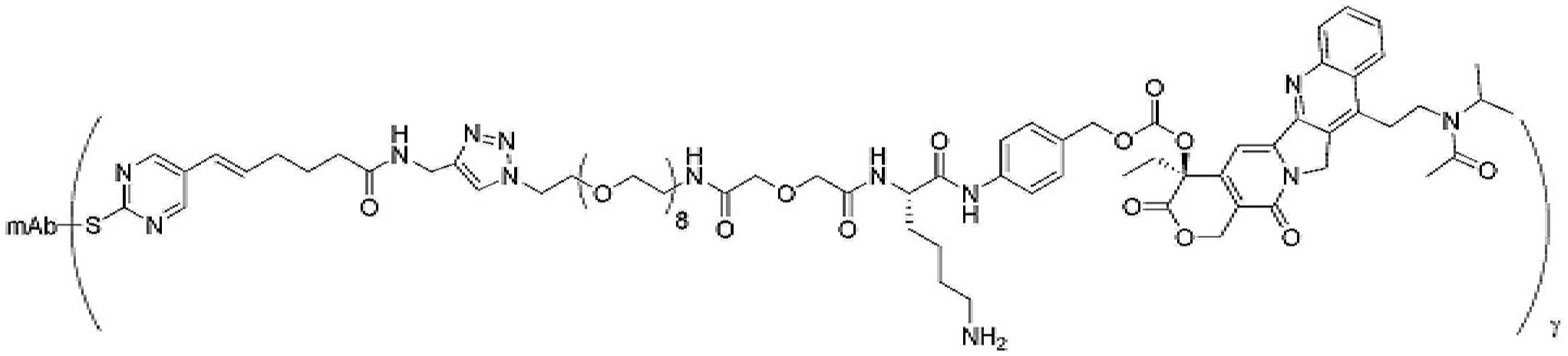 Figure pct00431