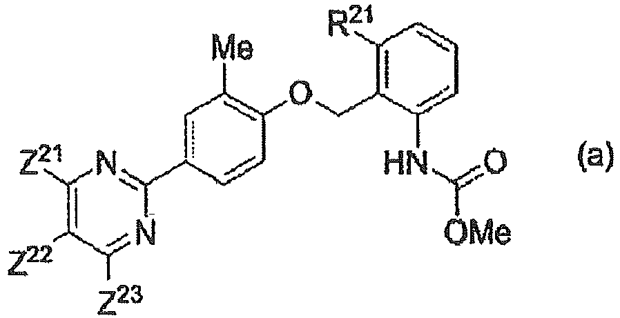 Figure imgb0013