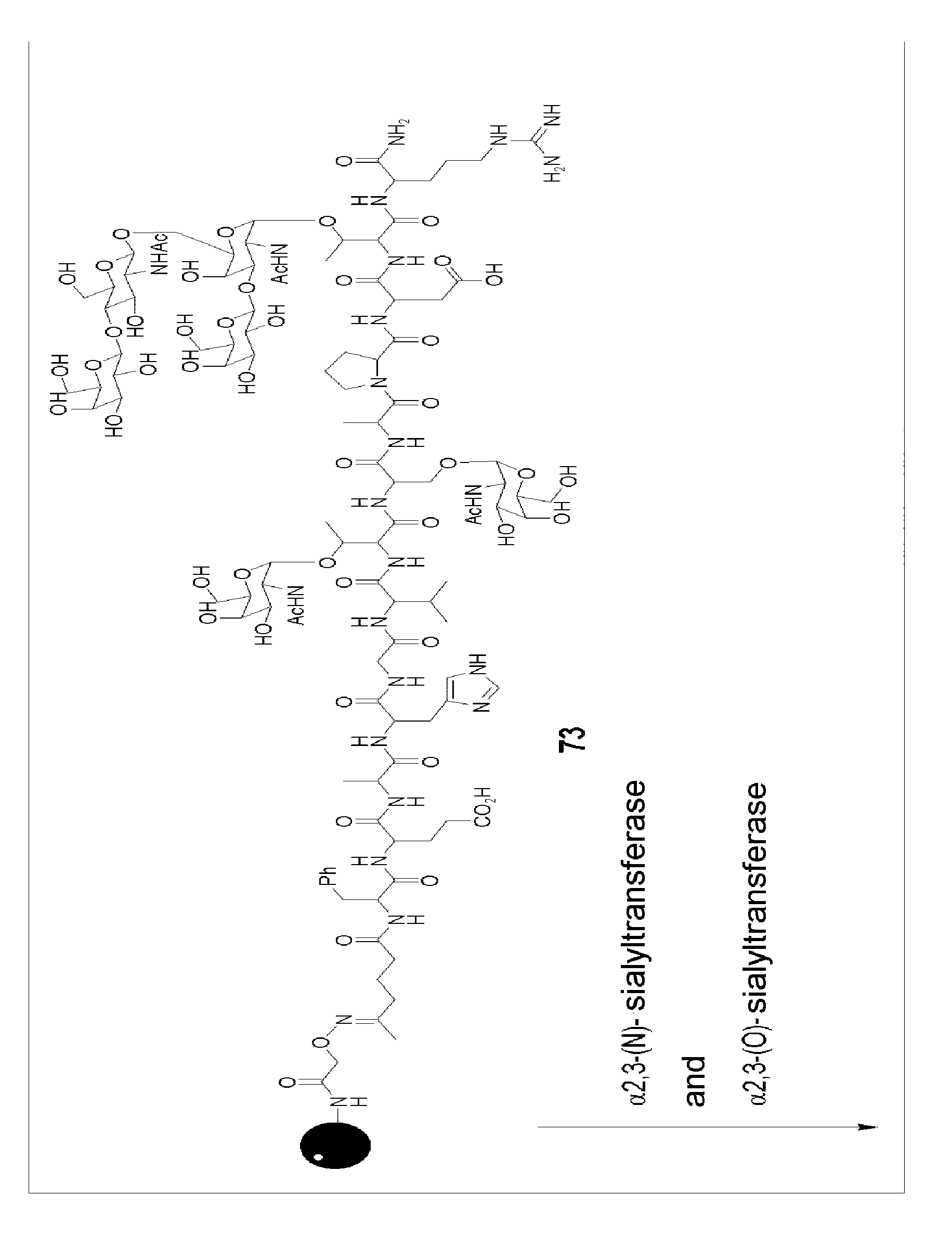 Figure imgb0133