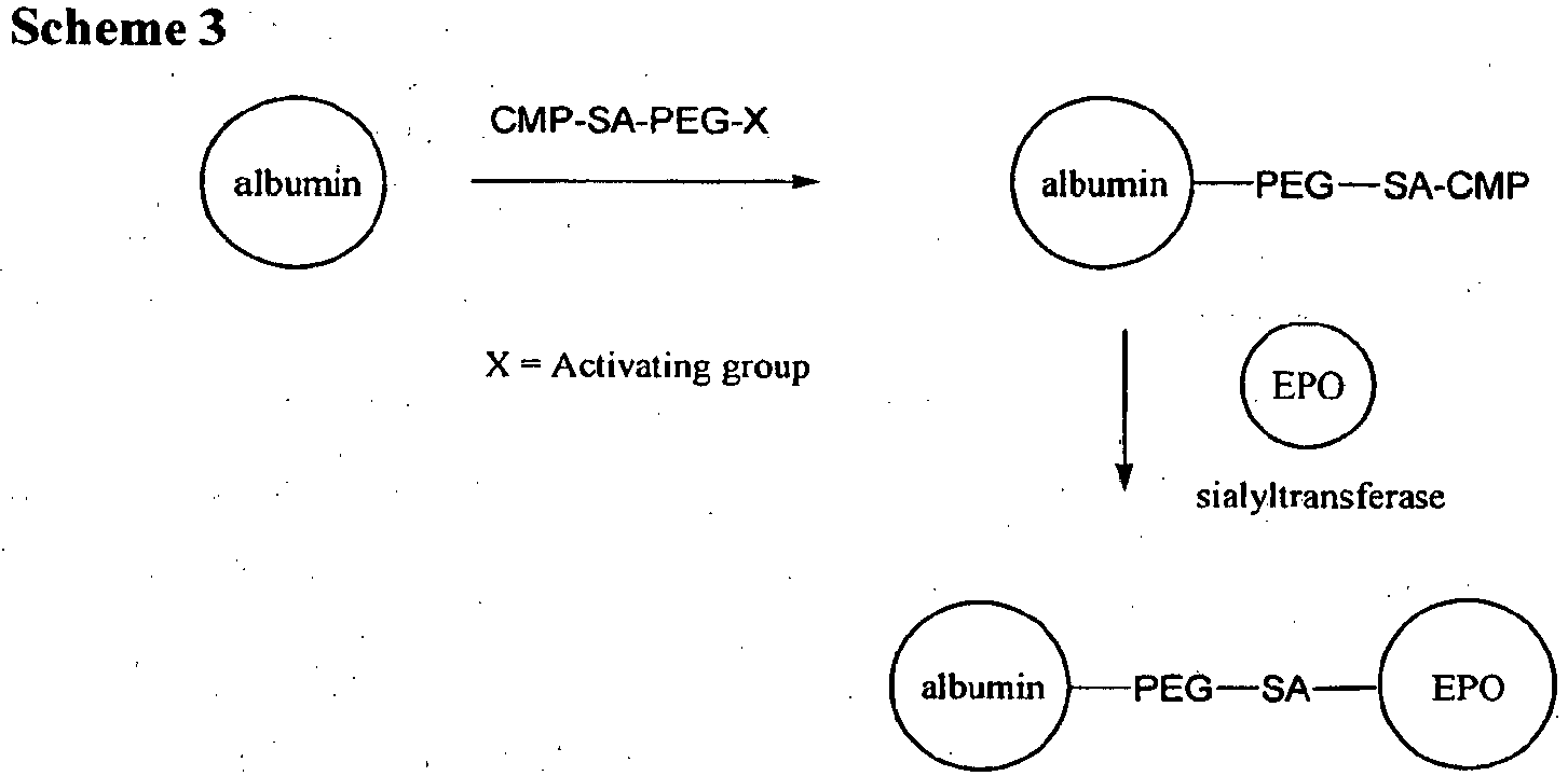 Figure imgb0056