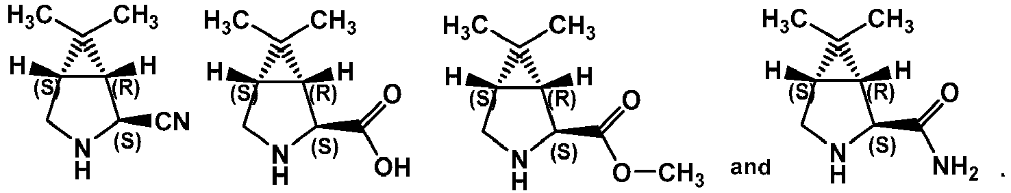 Figure imgb0024