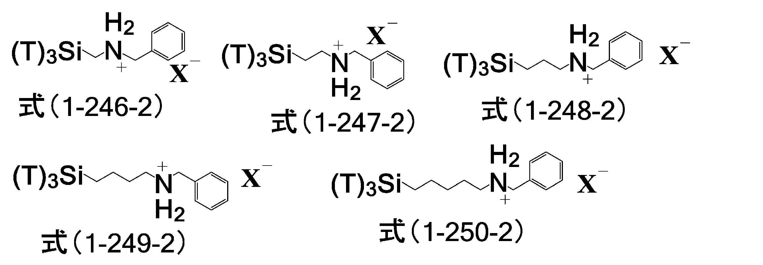 Figure JPOXMLDOC01-appb-C000069