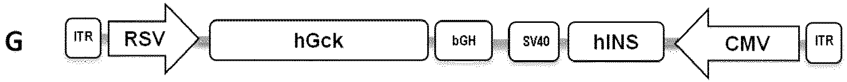 Figure imgb0027